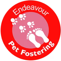 Pet Fostering: Supporting families and their pets escaping domestic abuse
